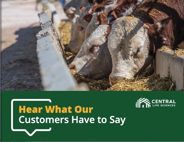 Customer Success Stories Thumbnail