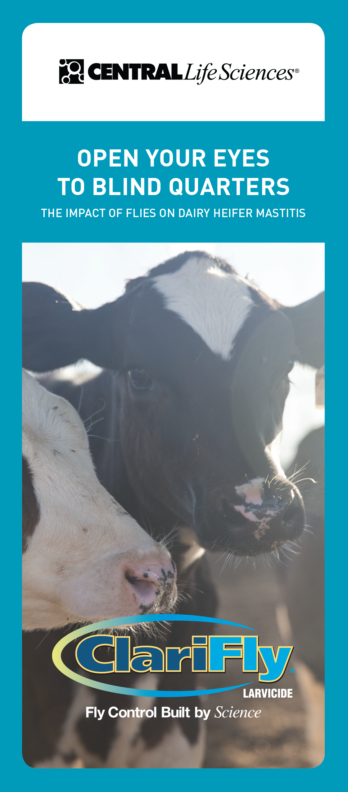 Mastitis Brochure