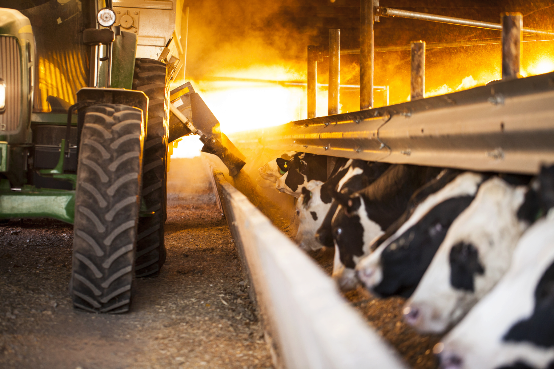 fly control that sets the bar