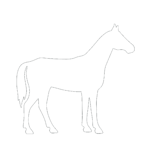 horse image